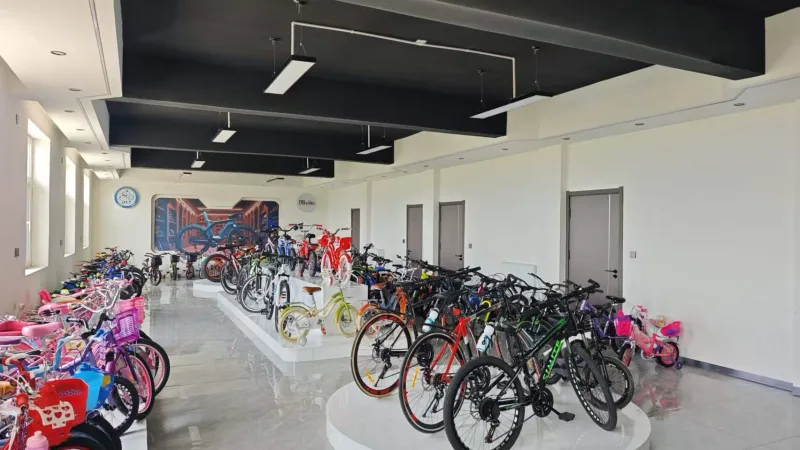 Bicycles displayed in the showroom